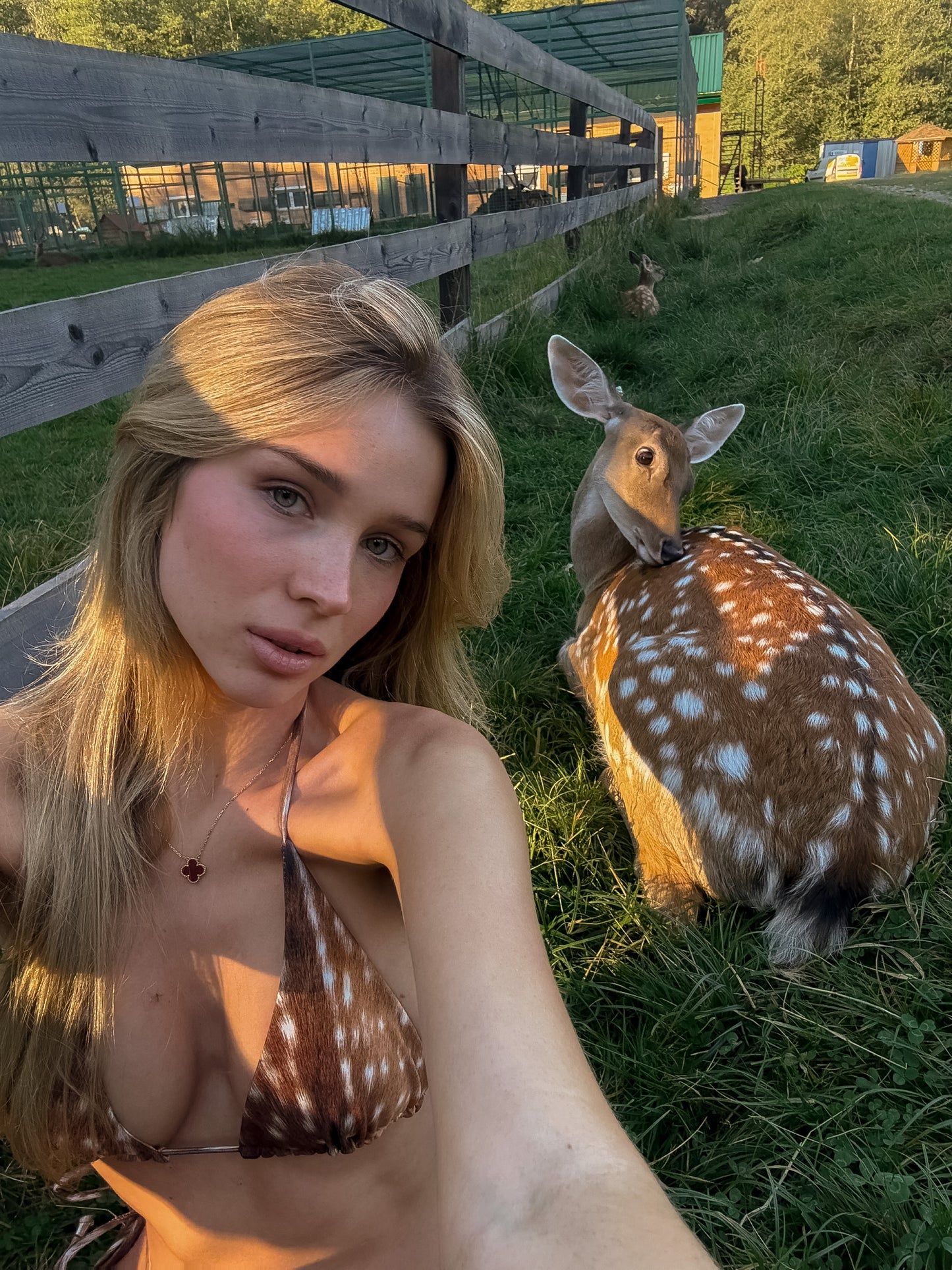 BAMBI BIKINI